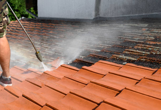 Best House Pressure Washing  in , WV